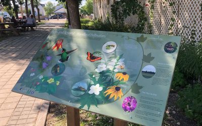 So, How Do You Make Interpretive Signs Anyway?