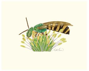 bee, digital painting, art,