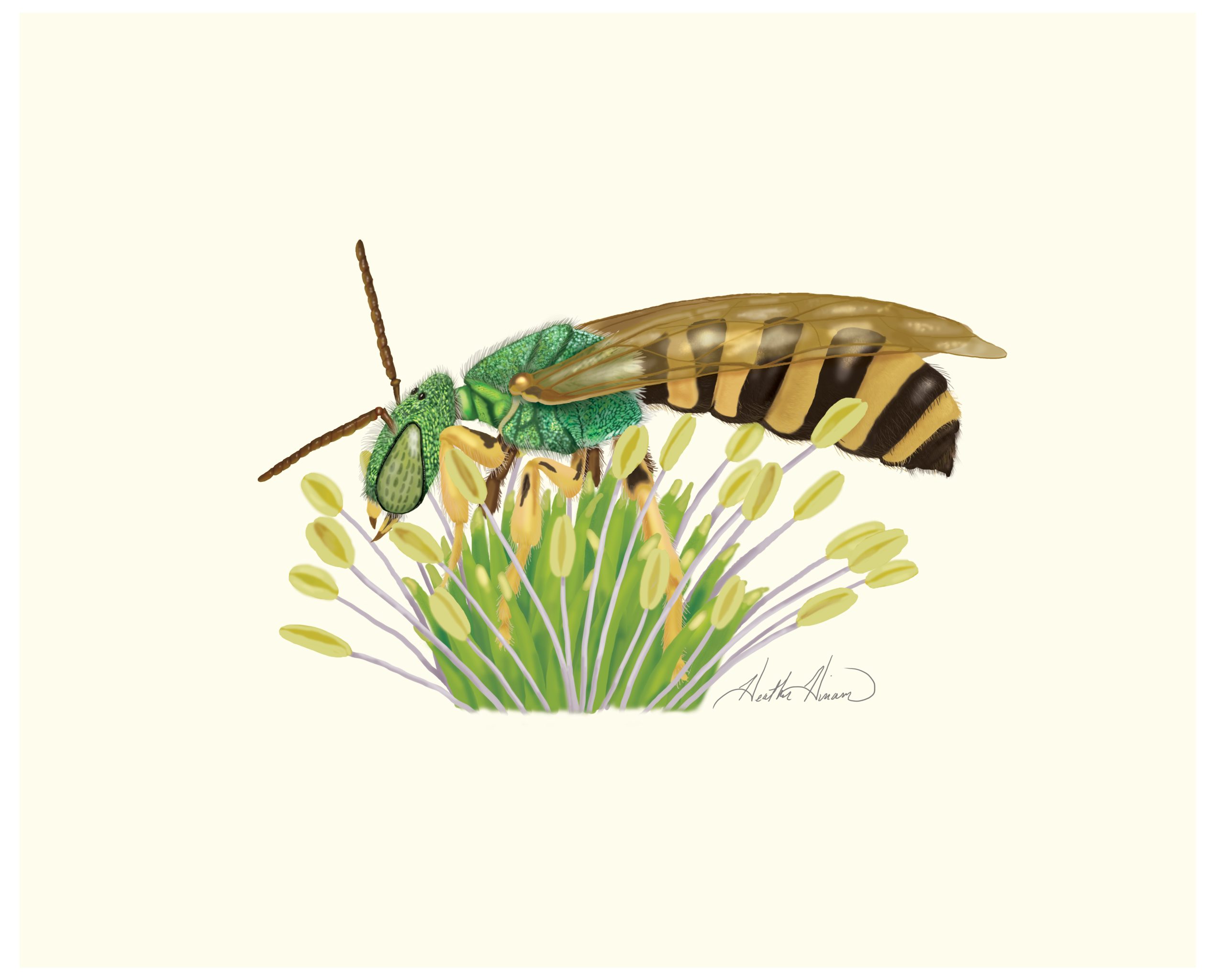 bee, digital painting, art,